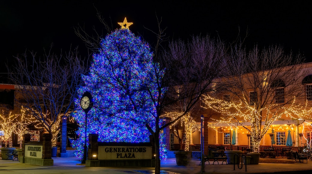 Holiday Christmas tree in the Meridian Idaho Plaza