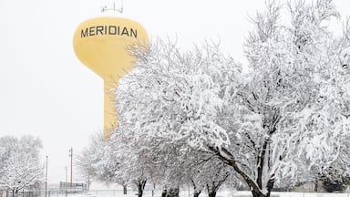 A snow-covered landscape with a large yellow water tower labeled 'MERIDIAN' and leafless trees.