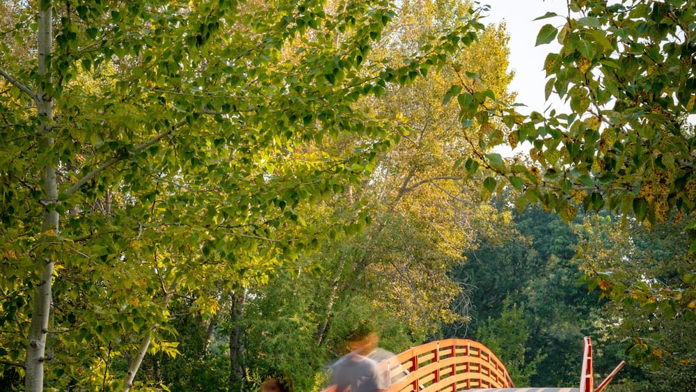 A pedestrian bridge with red railings, surrounded by green trees.