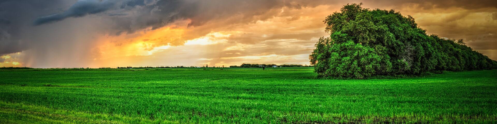 Calm after the Storm