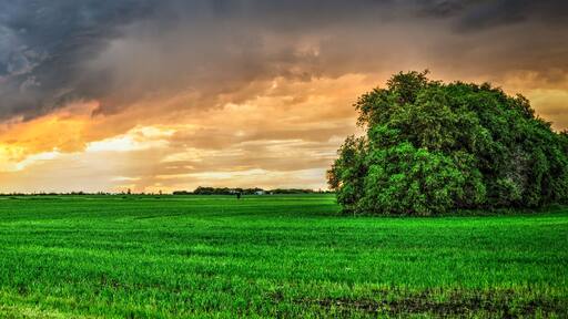 Calm after the Storm