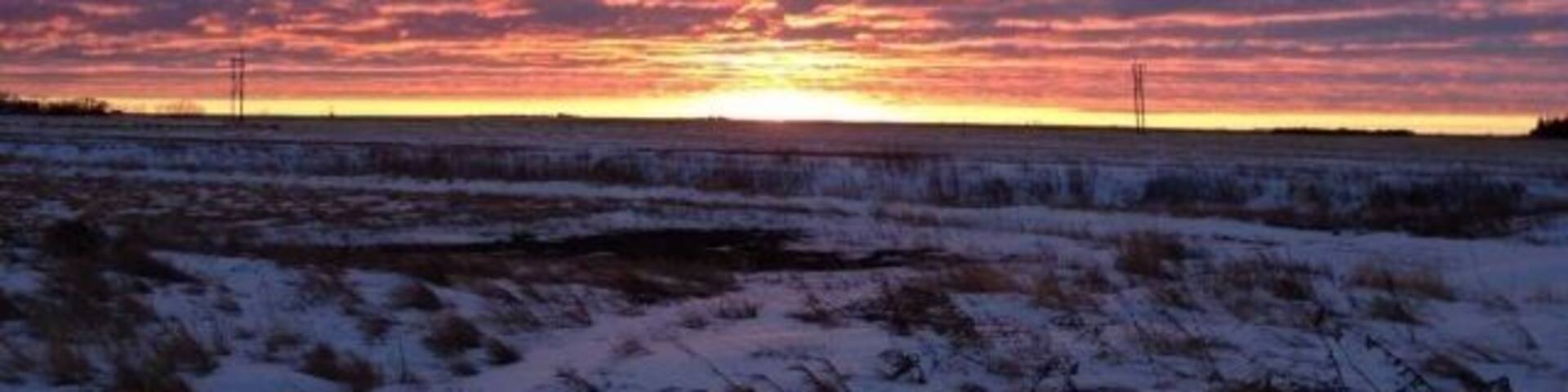The incredible #sunset out here on the prairies this evening! Amazing
#goldenhour