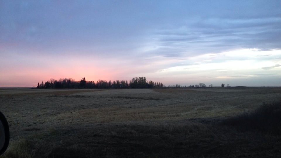 A vast open field with a line of trees in the distance under a twilight sky.