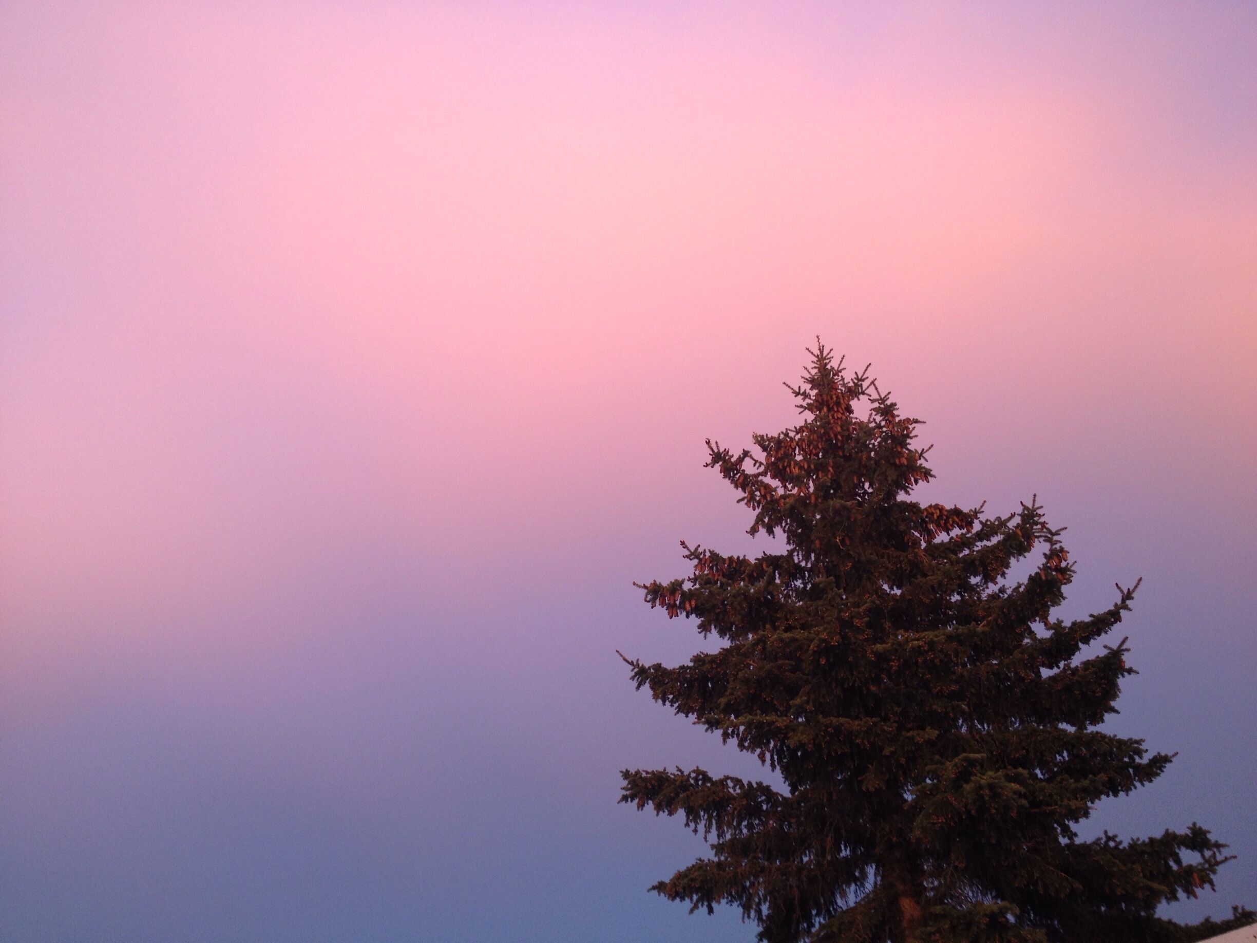 Incredible sunset in the summer. Loved walking out the door to see this!#goldenhour