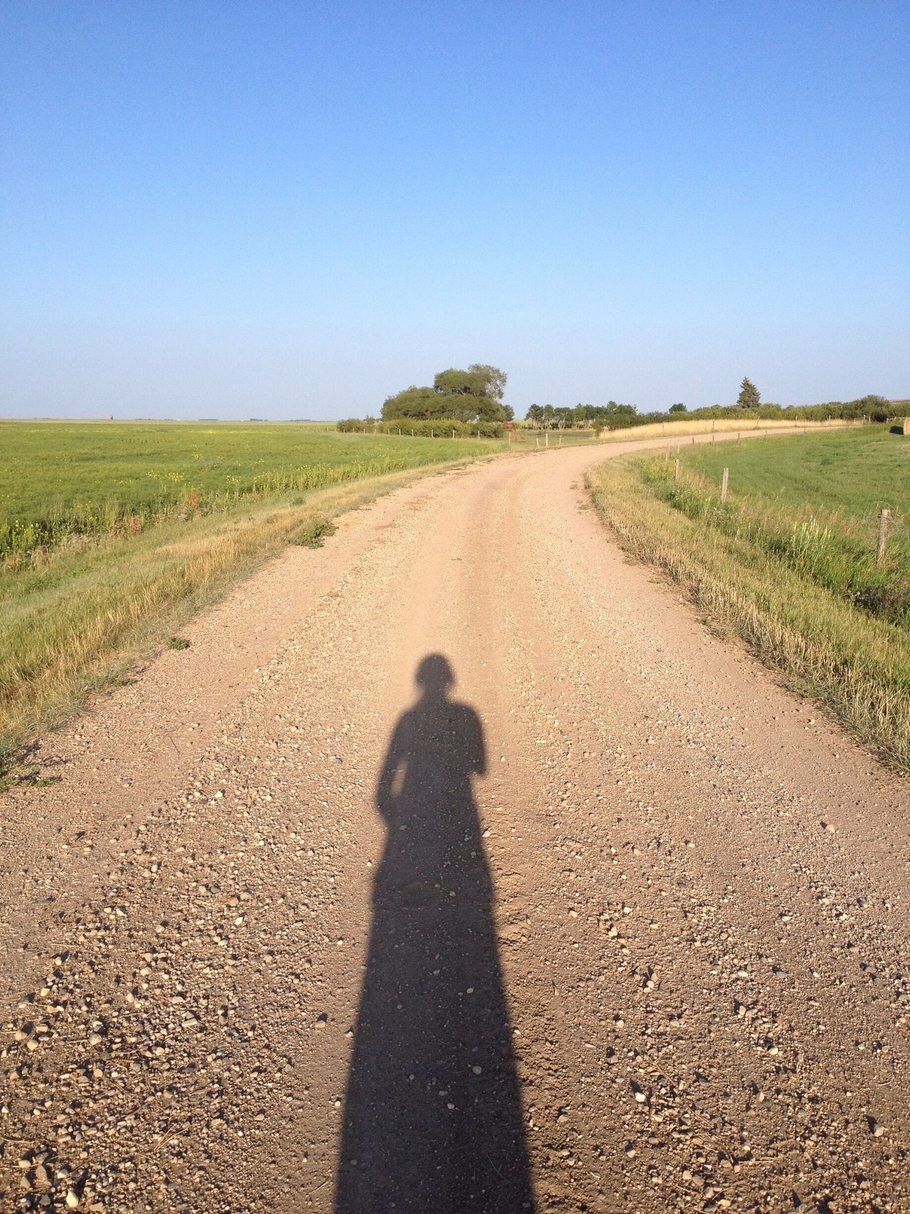 A rural dirt road flanked by green fields and a solitary tree in the distance.