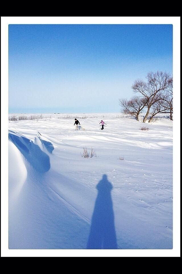 Un paisaje nevado con dos personas esquiando, un cielo azul despejado y un árbol sin hojas.