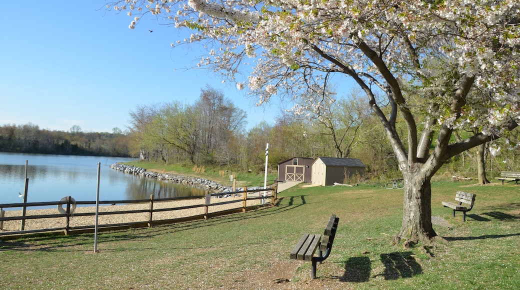 Black Hill Park in Germantown, MD USA; Shutterstock ID 188664158; Purchase Order: -