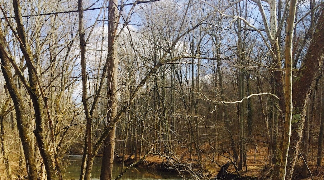 The location that was used while filming the blair witch project. This is the scene where the 2 fishermen are interviewed about the legend of the blair witch. #hiking
#waterlust