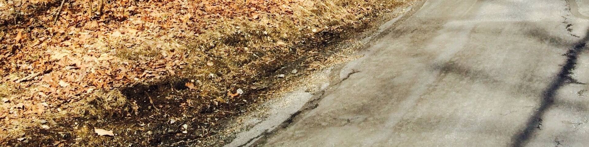 This little barn was made famous for appearing on the side of the road right before they park thier car to go into the woods, in the beginning of the movie 'the Blair witch project'
#blairWitch