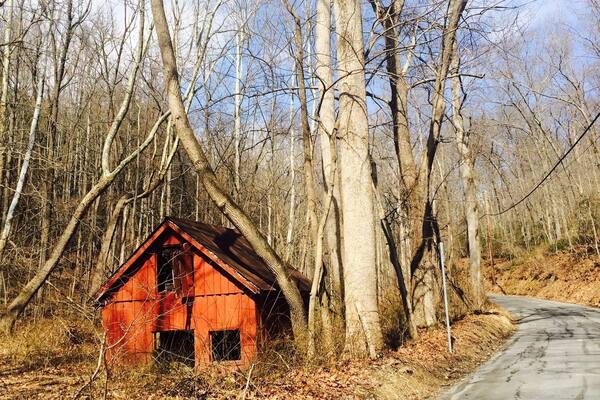 This little barn was made famous for appearing on the side of the road right before they park thier car to go into the woods, in the beginning of the movie 'the Blair witch project'
#blairWitch