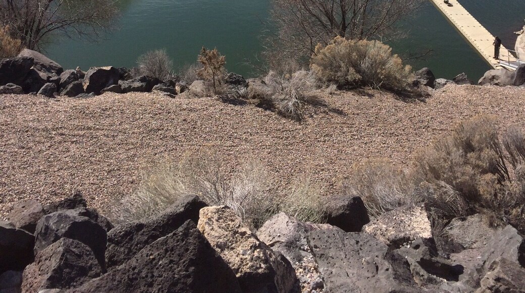 American Falls Idaho.