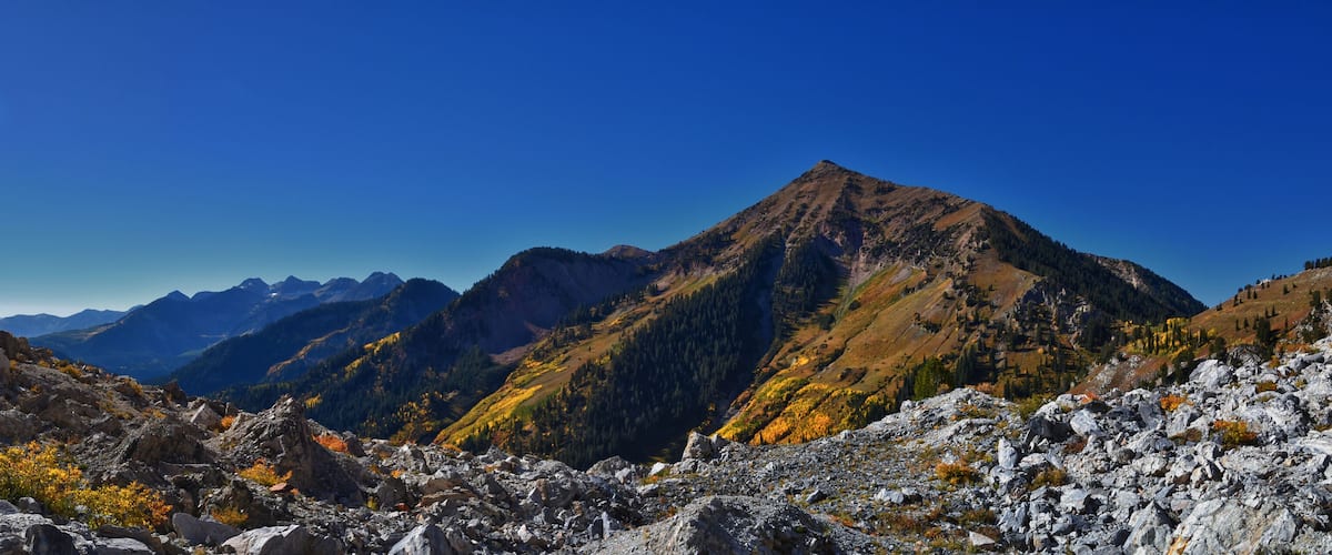 Box Elder Peak view looking up from hiking trail, American Fork Canyon. Wasatch Range Rocky Mountains, Utah, United States.