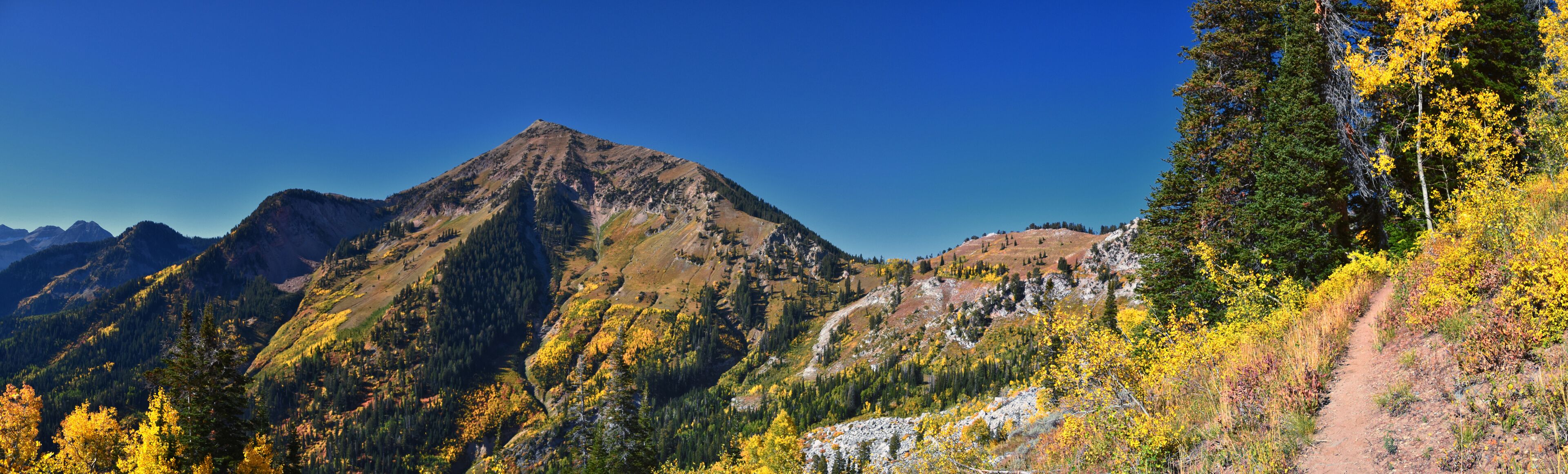 Box Elder Peak view looking up from hiking trail, American Fork Canyon. Wasatch Range Rocky Mountains, Utah, United States.