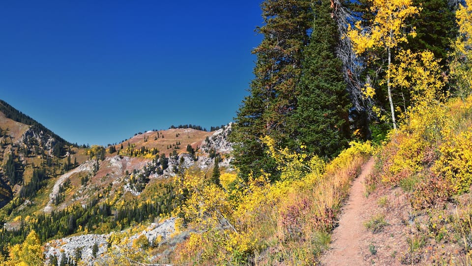 A mountain range with autumn foliage, a clear sky, and a dirt path.