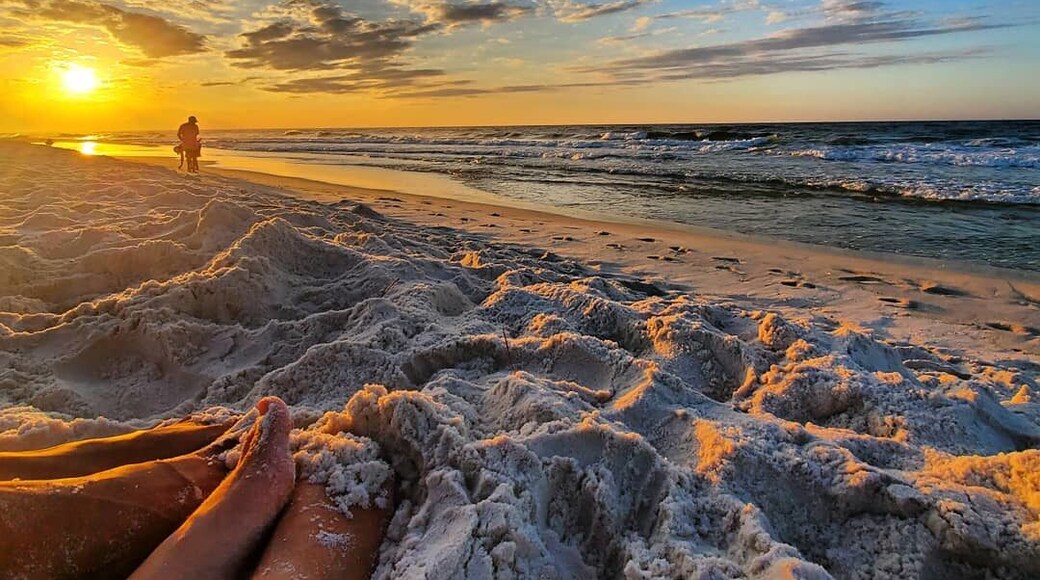 sunrise on the beach in Alabama. #trovember