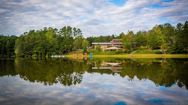 Beautiful reflections at Lake Norman State Park, North Carolina.