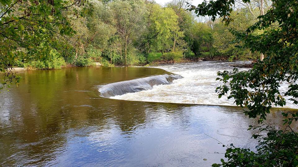 A river flowing through a forested area with a small waterfall.