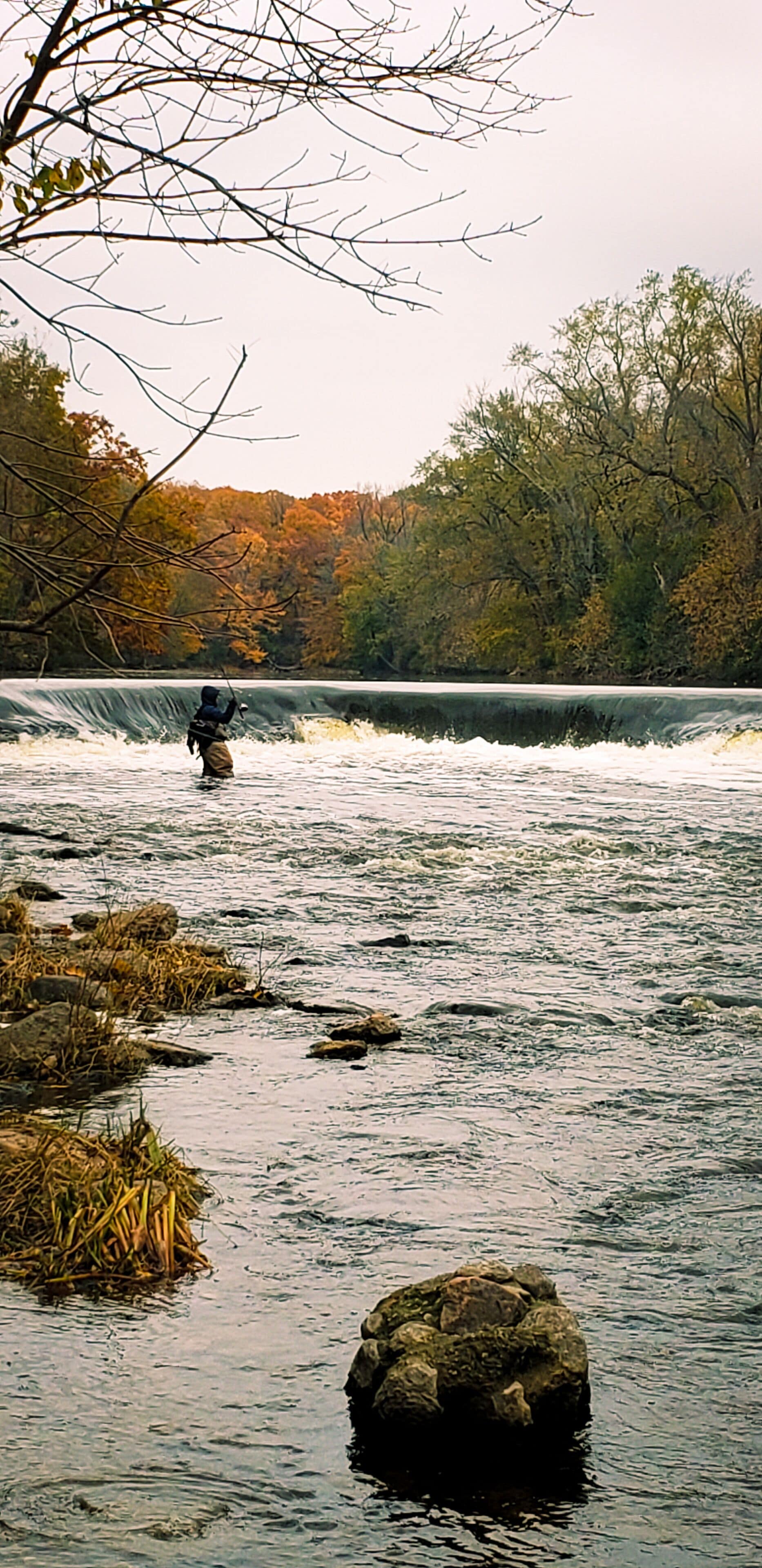 #trovember this waterfall in the city of Milwaukee is a hidden fly fishing spot in November?