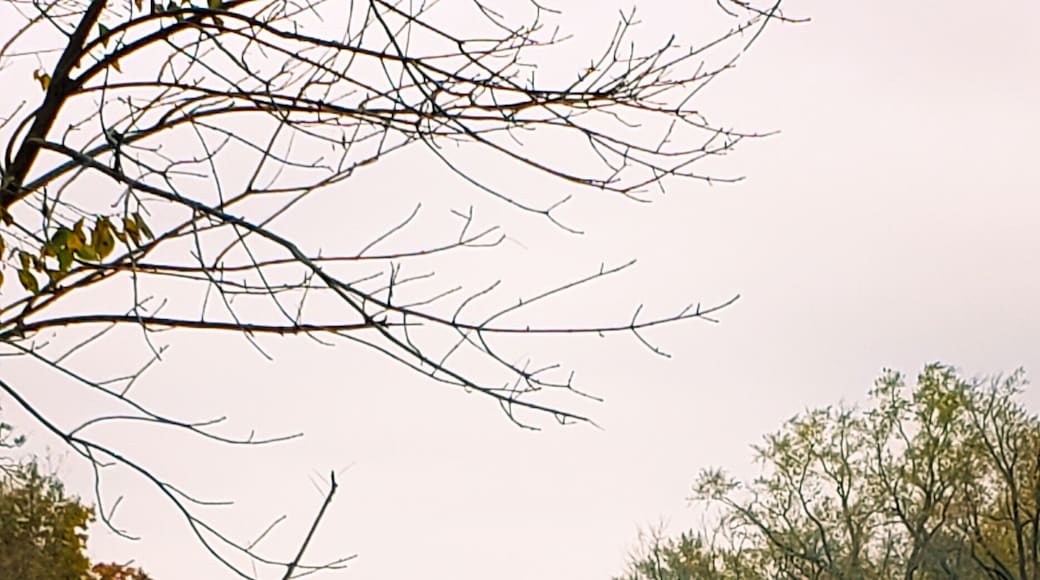 #trovember this waterfall in the city of Milwaukee is a hidden fly fishing spot in November?