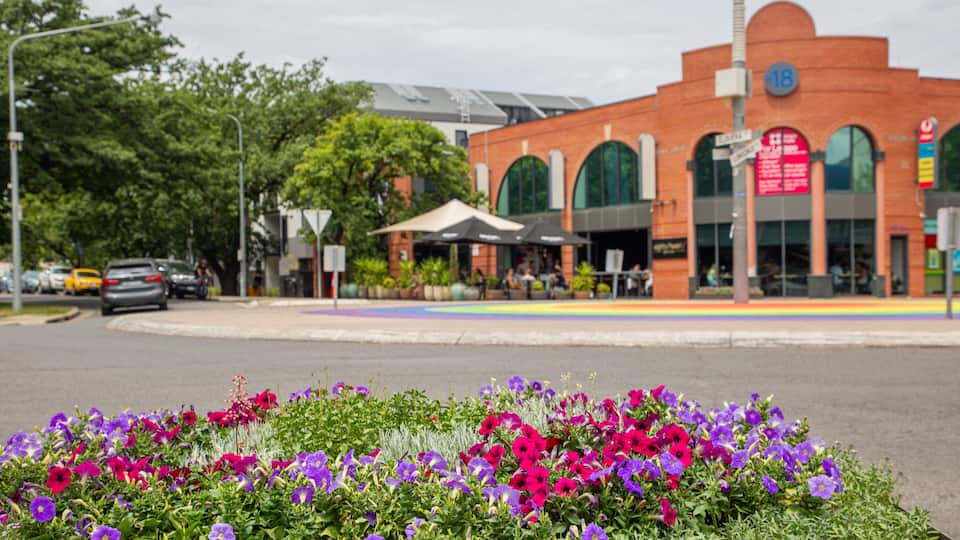Braddon featuring wildflowers