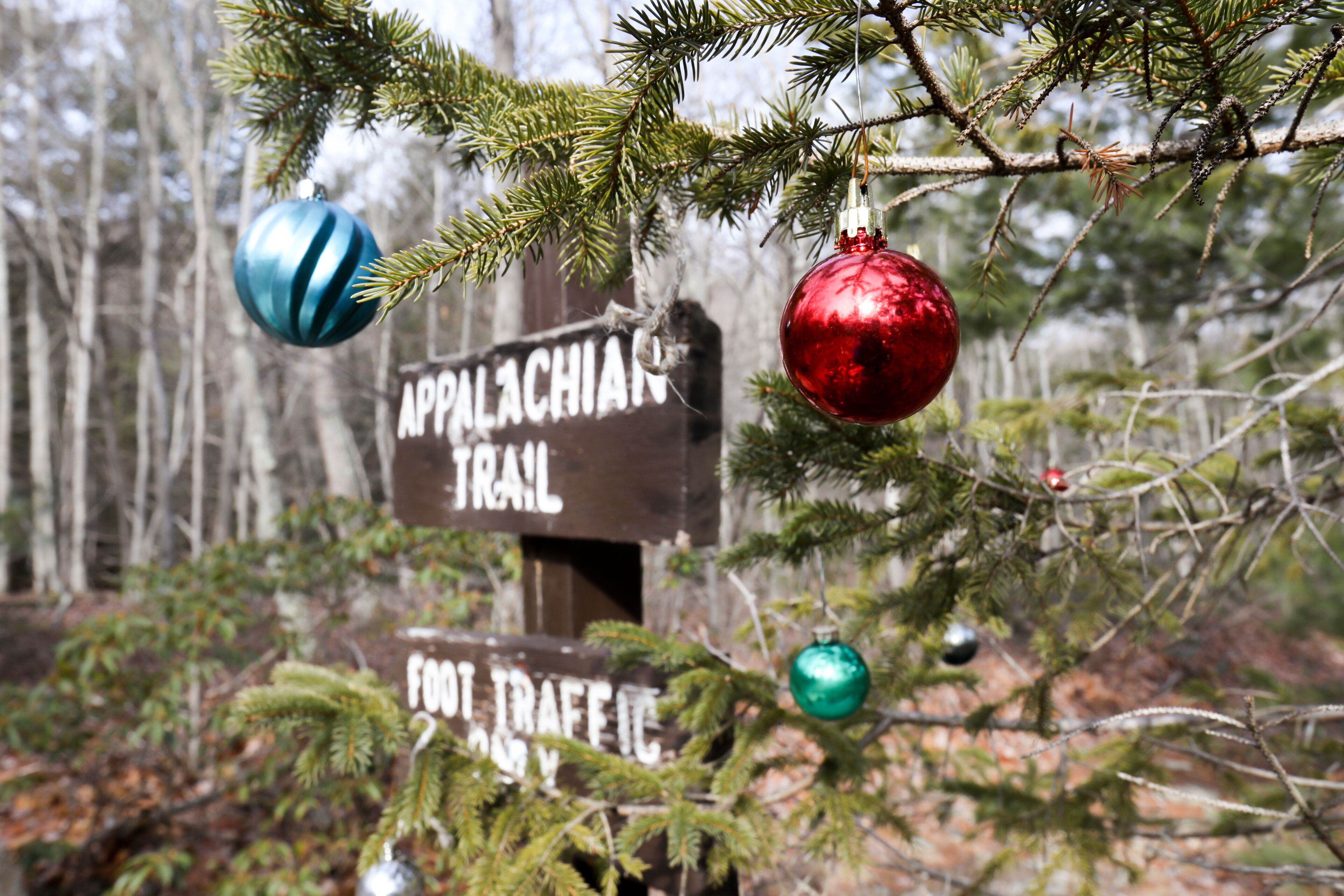 Christmas tree ornament on Appalachian Trail