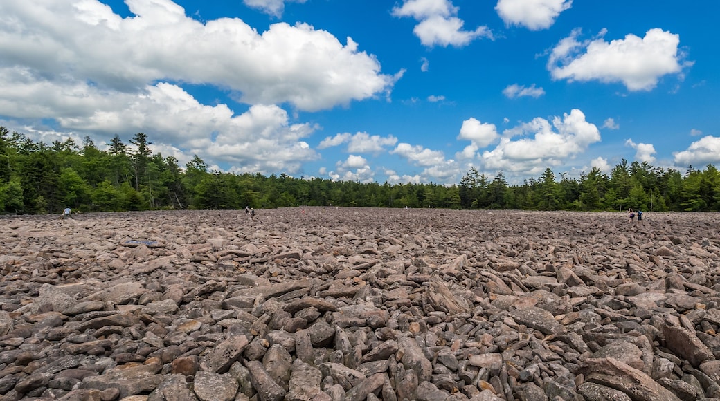 Boulder field in Hickory Run State Park, Pennsylvania