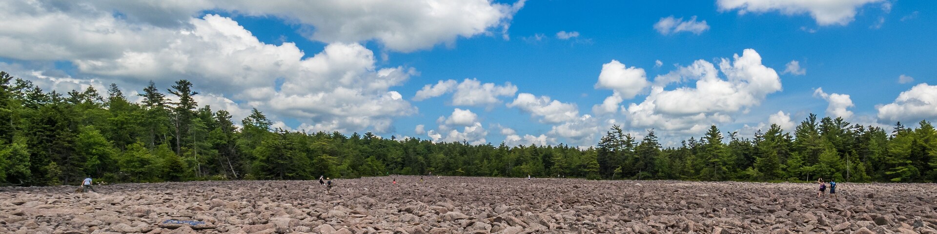 Boulder field in Hickory Run State Park, Pennsylvania
