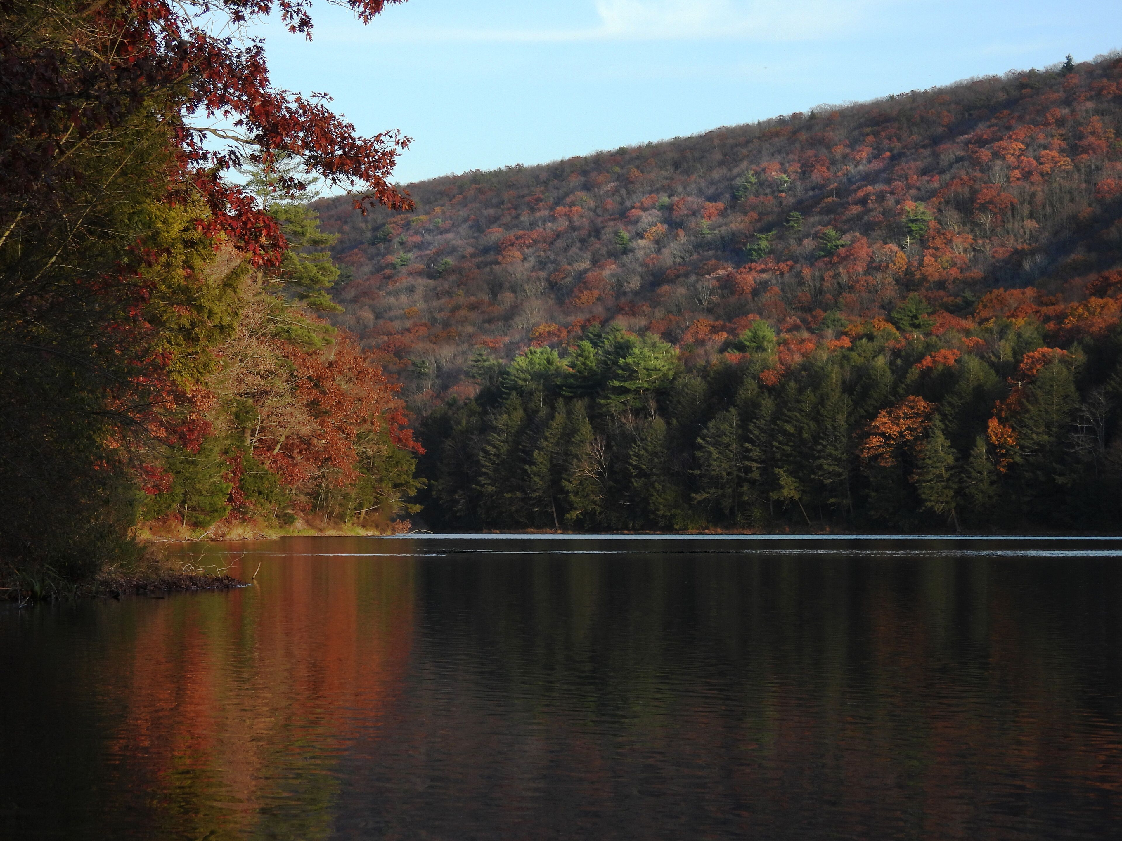 Colorful, autumn foliage, natural reflections upon the calm waters of Tuscarora lake.Tuscarora State Park, Schuylkill County, Barnesville, Pennsylvania, Appalachian Mountains.Late afternoon lighting.
