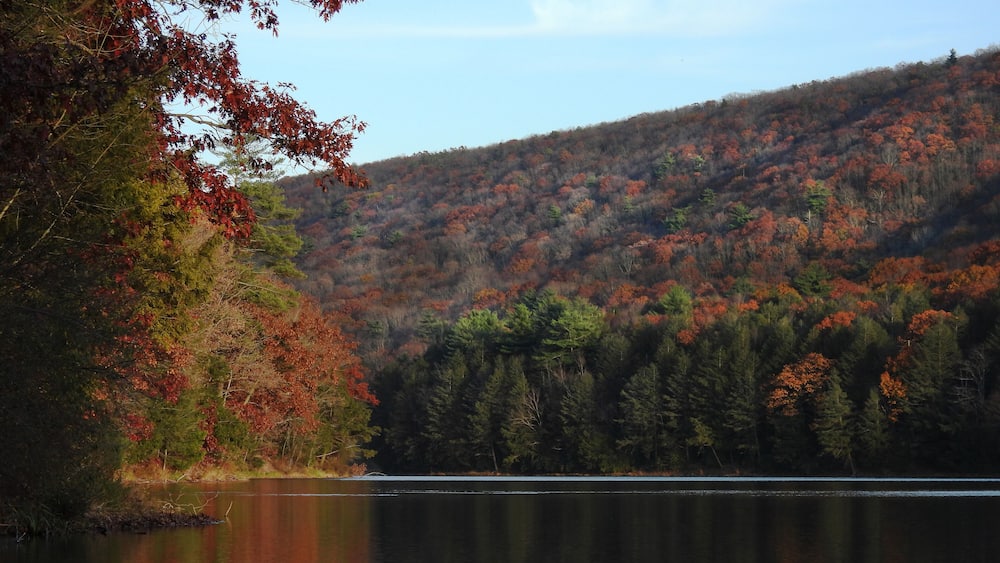 A calm lake surrounded by autumn-colored trees and a forested hill.