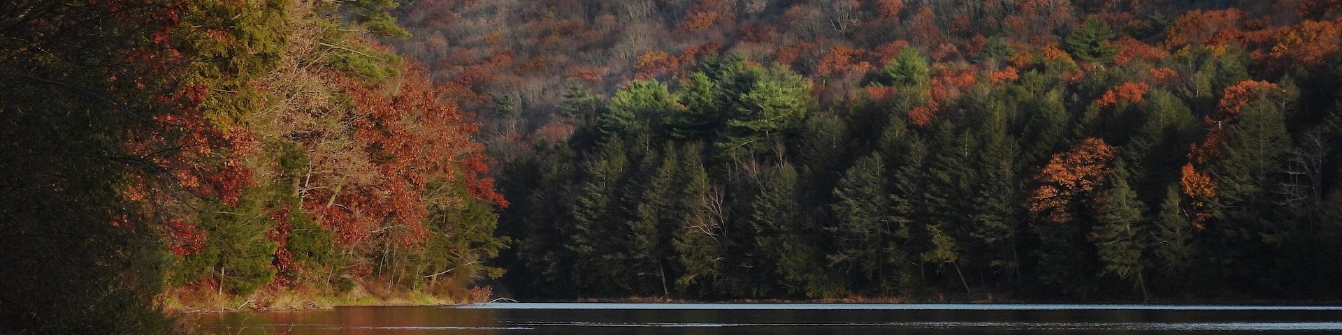 Colorful, autumn foliage, natural reflections upon the calm waters of Tuscarora lake.Tuscarora State Park, Schuylkill County, Barnesville, Pennsylvania, Appalachian Mountains.Late afternoon lighting.