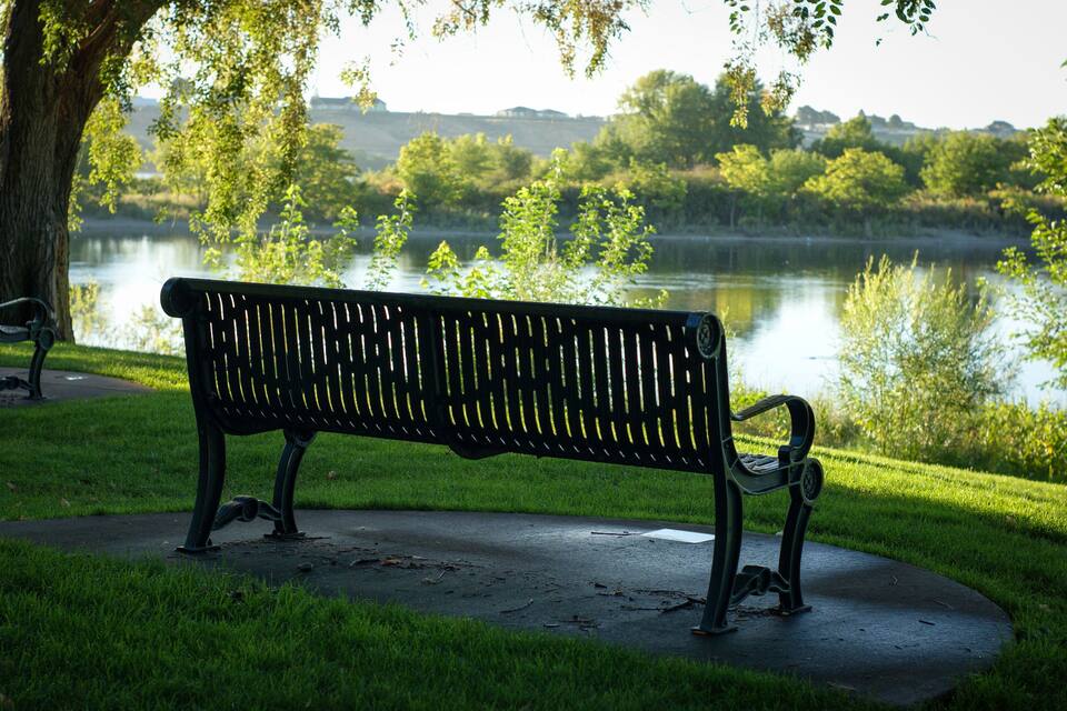 Un banc de parc au bord d’un lac, entouré d’arbres et d’herbe.