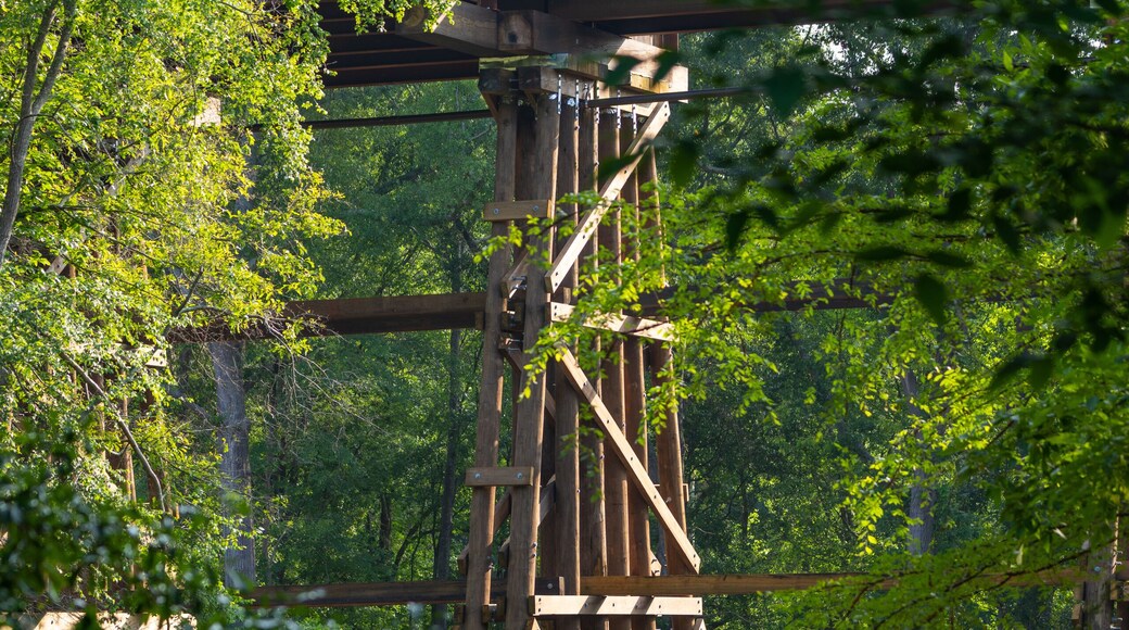 Dudley Park in Athens, Georgia, USA