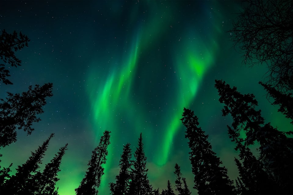 The Northern Lights (Aurora Borealis) over a forested landscape.