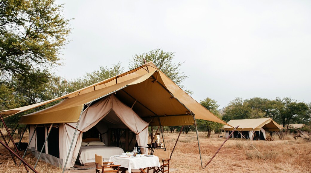 Luxury Safari tent camp in Serengeti Savanna forest - Glamping travel in Africa wild forest