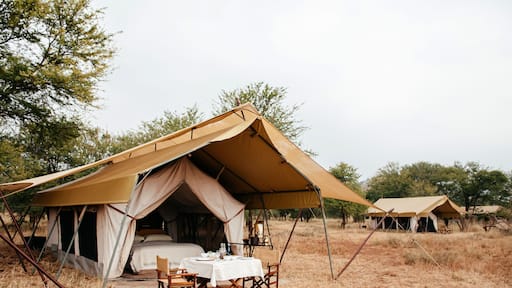 Luxury Safari tent camp in Serengeti Savanna forest - Glamping travel in Africa wild forest