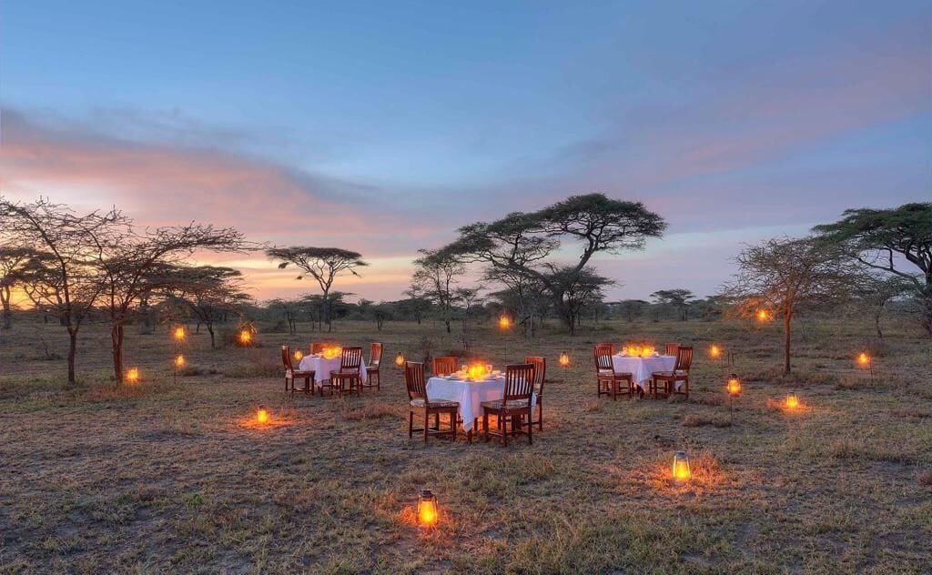 An outdoor dining setup with tables and chairs under trees, lit by lanterns.