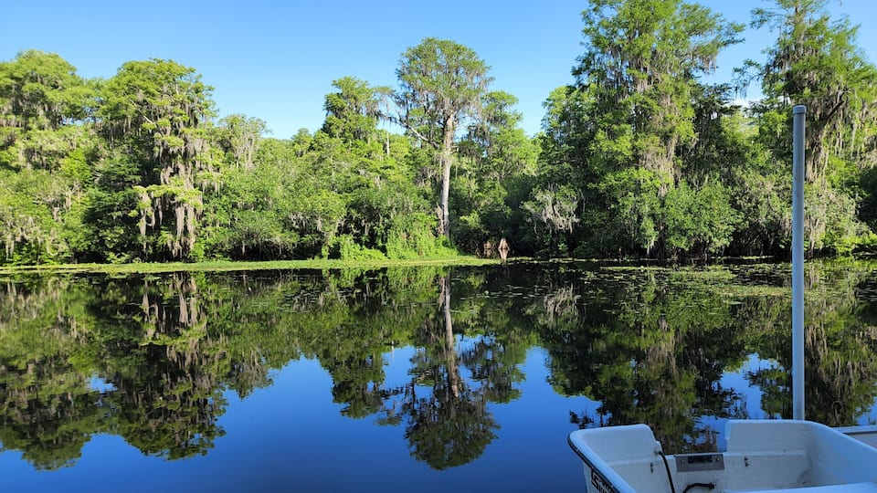 A calm lake with dense forest and a boat docked on the right.