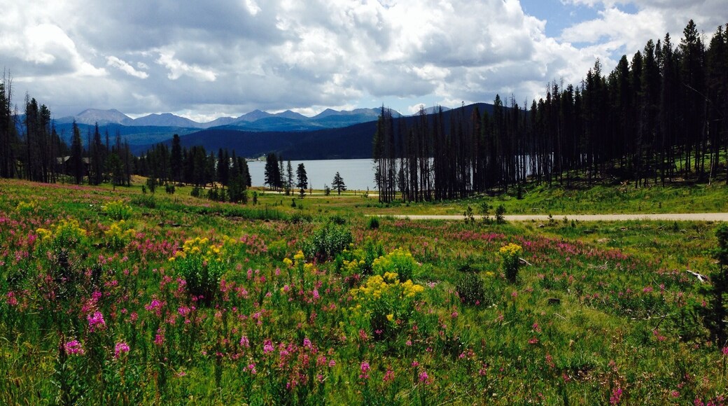 Hanging out enjoying the scenery. A moose and her baby came thru a few minutes ago!