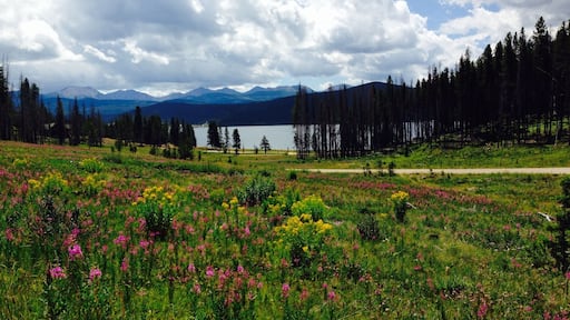 Hanging out enjoying the scenery. A moose and her baby came thru a few minutes ago!