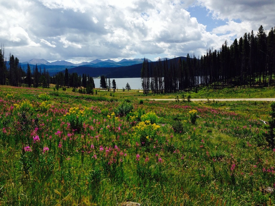 Hanging out enjoying the scenery. A moose and her baby came thru a few minutes ago!