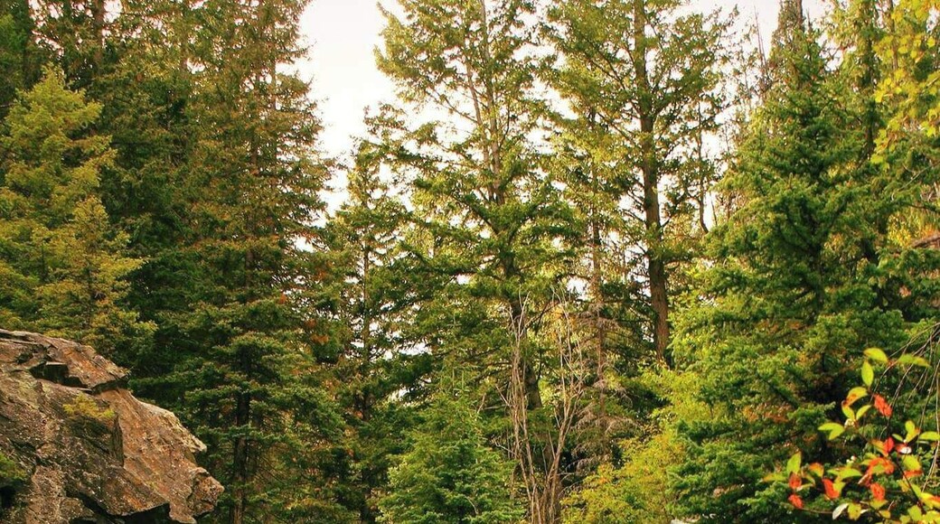 Lost Creek Waterfall