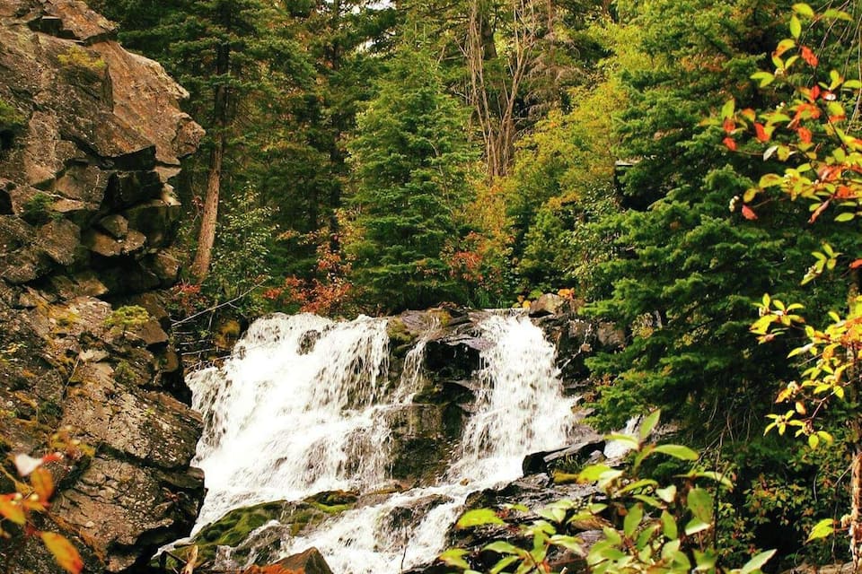 A waterfall cascading over rocks surrounded by dense forest.