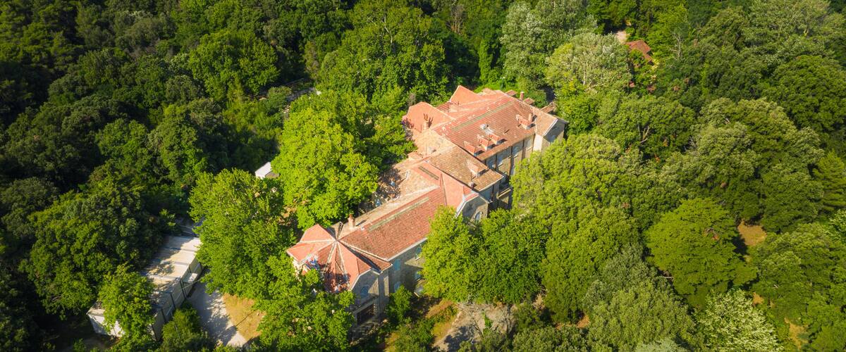 An aerial view of a house surrounded by dense forest.