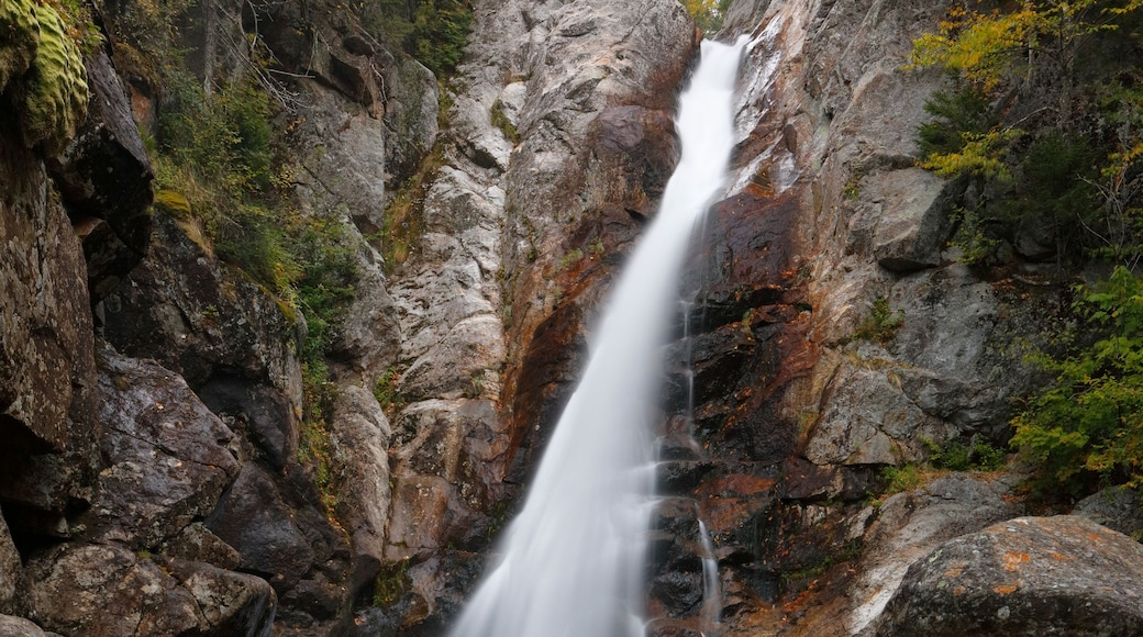 A waterfall cascading down a rocky cliff into a pool surrounded by boulders and greenery.