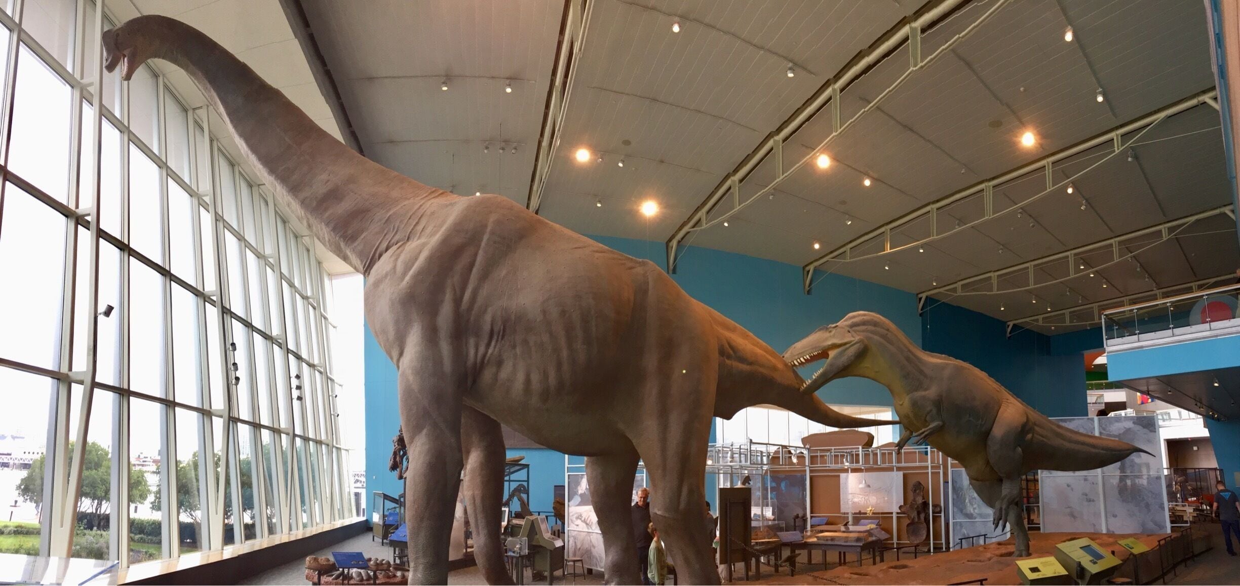 Maryland Dinosaurs of the Late Jurassic period.