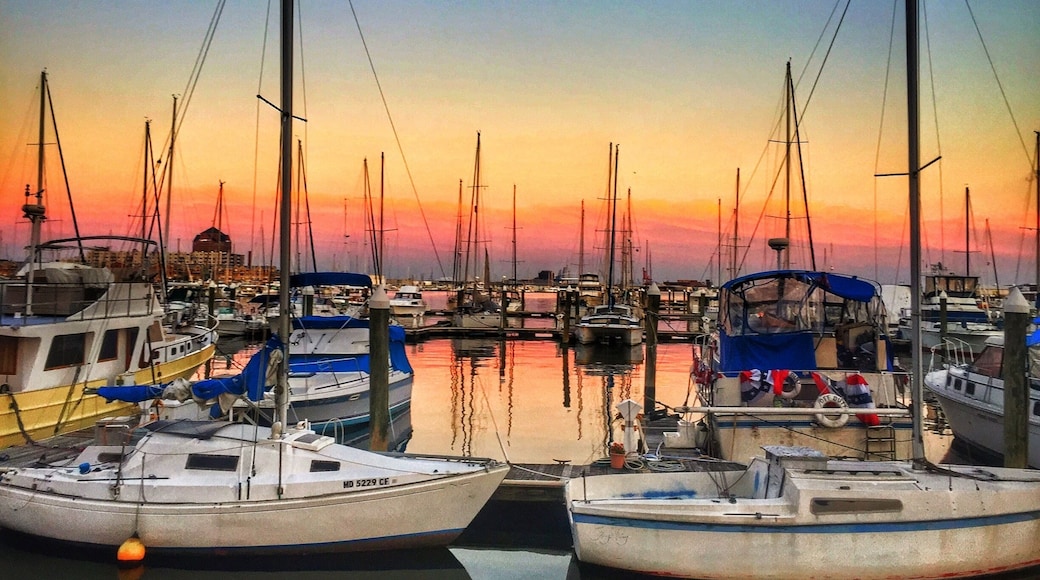 Always helps when you have a beautiful view along your run! 🌅