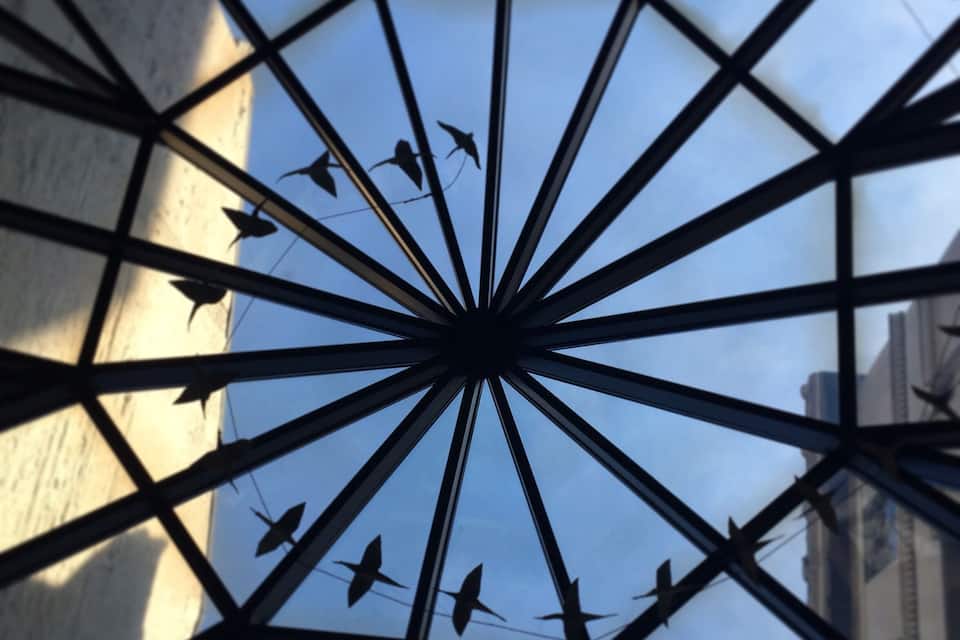 Una estructura geométrica con un diseño radial y siluetas de aves volando.