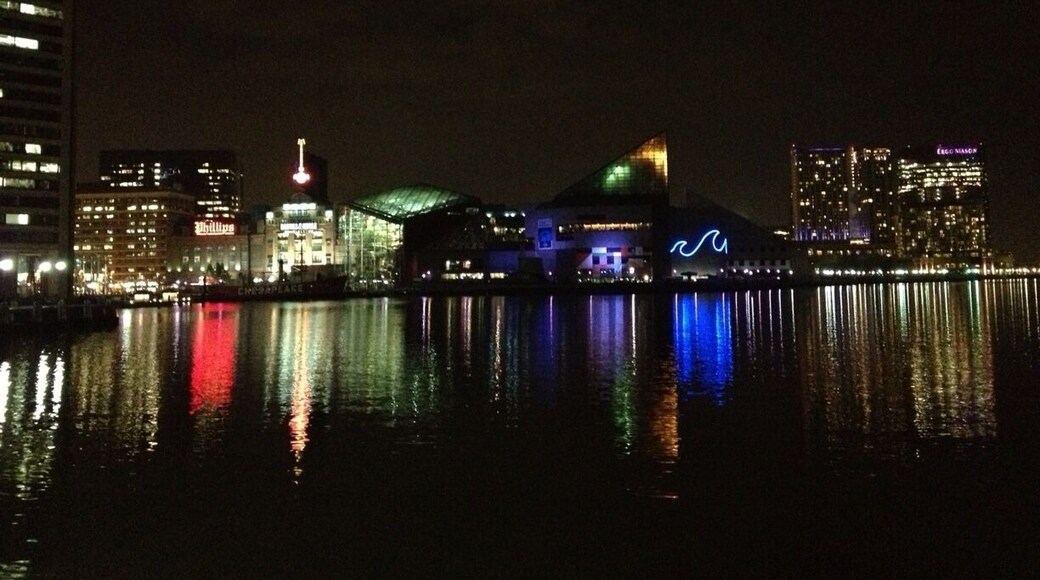 The Inner Harbor should be on everyone's to do list who comes to Baltimore. Walking around at night is particularly wonderful.