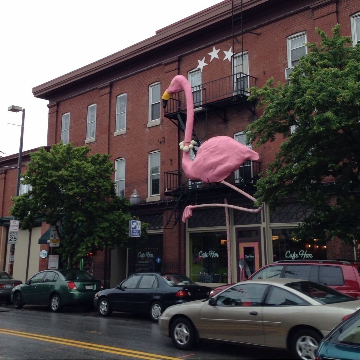 The giant flamingo of Cafe Hon
