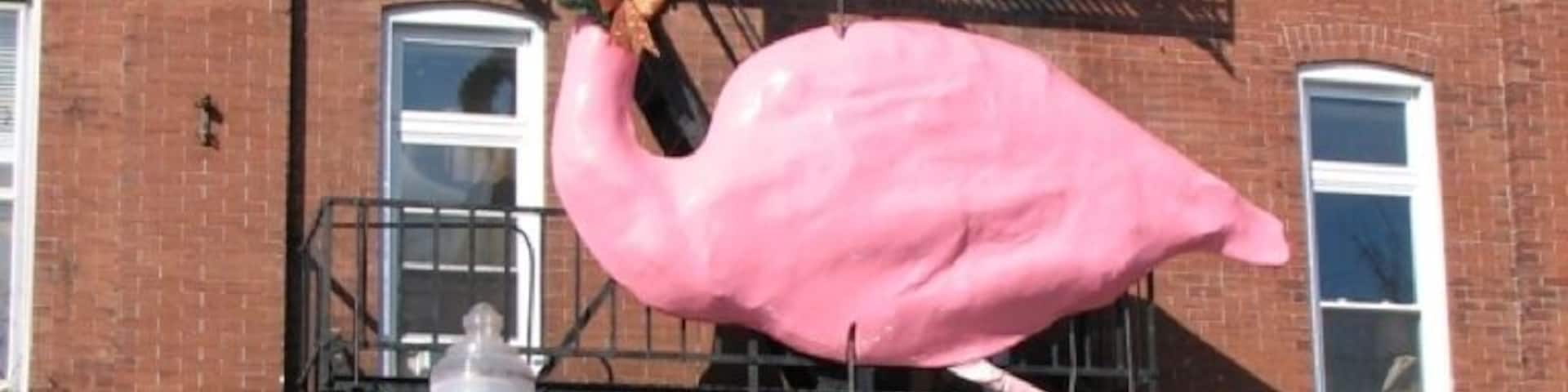 Uma escultura de flamingo rosa em um poste de iluminação.